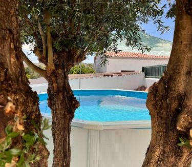 Castro Verde House | Casa D' Oliveira