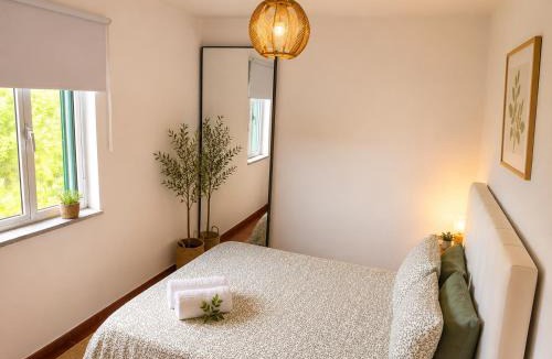 Aguiar da Beira House | Casa D'os Eiras