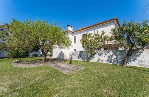 Ilhavo Villa | Casa da Betinha