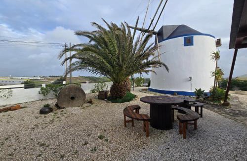 Sao Pedro da Cadeira Apartment | Casa da Moleirinha