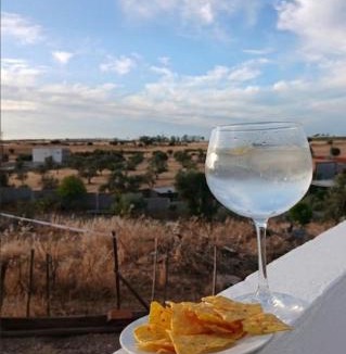 Reguengos de Monsaraz House | Casa da Oliveira