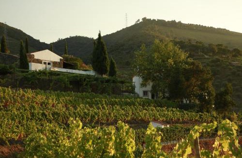 Adorigo Bed & Breakfast | CASA da PISCINA, Quinta do Espinho, Douro Valley