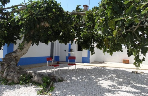 Maceira House | Casa da Figueira