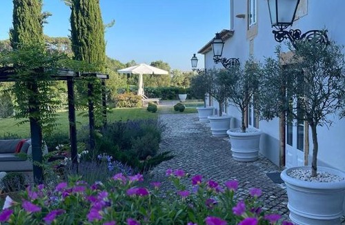 Tomar Villa | Casa da Vinha - Quinta dos Pegões