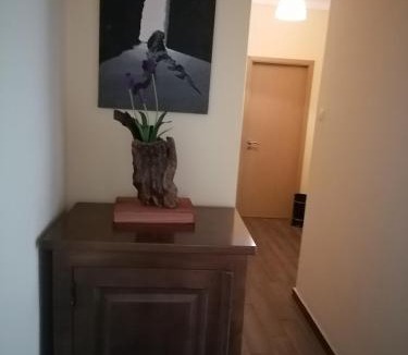Castelo Branco Apartment | Casa das 4 estações