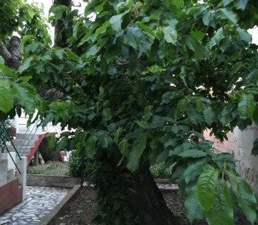 Tabuaco House | Casa do César Douro Guest House