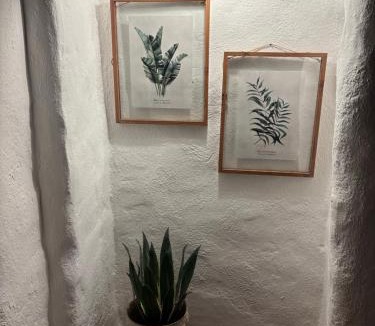 Portel House | Casa do Montado