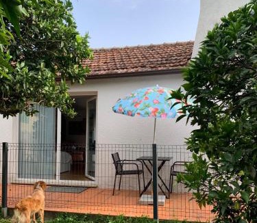 Cacia House | Casa do Paço Aveiro - Studio&Rooms