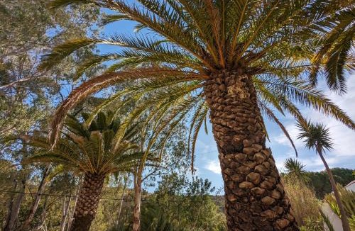 Montes de Cima Bed & Breakfast | Casa do Palmeiral - Hoom B&B