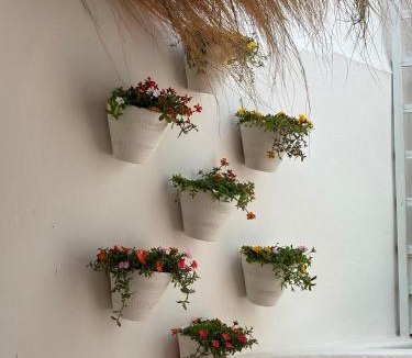 Grandola Apartment | Casa Fataca
