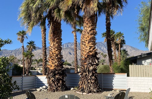 Palm Springs House | Casa Feliz- Zen Getaway with Saltwater Pool & Spa