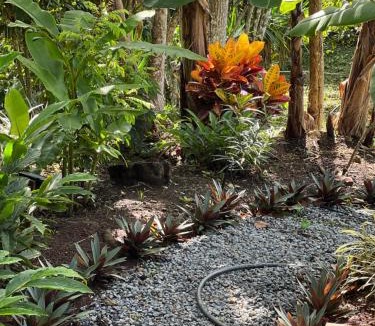 San Isidro de El General House | Casa Hummingbird Peace & Nature