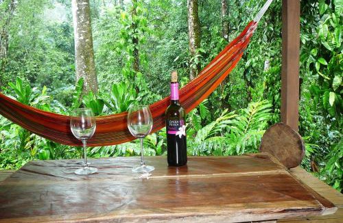 Cocles Apartment | Casa Lina sloth view exotic apartment with privat kitchen