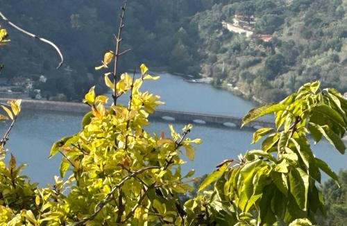 Anreade Villa | Casa Loureiro - Vista Rio Douro