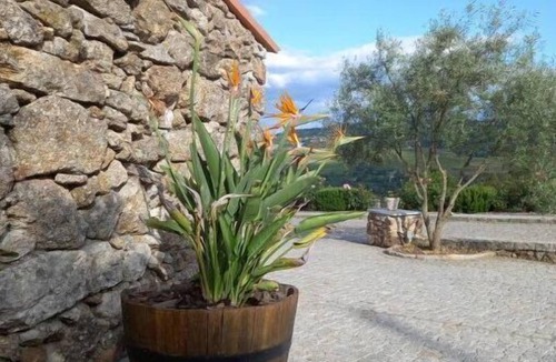 Insua House | Casa Penalva