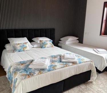 Ancede Villa | casa Pinto Douro country
