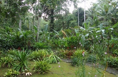 Limon House | Casa Tres Monos- Stunning Garden/Beach Wildlife Viewing