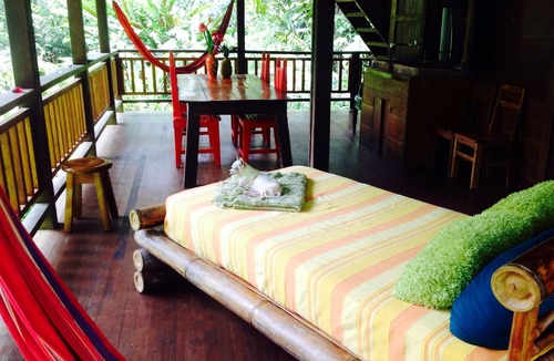 Limon House | Casa Tres Monos- Stunning Garden/Beach Wildlife Viewing
