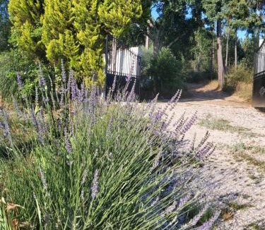 Arganil House | Casa Vale Nicolau