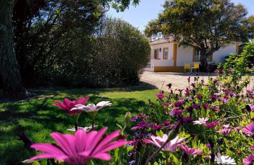 Meco Ski Chalet | Casas das Amoreiras
