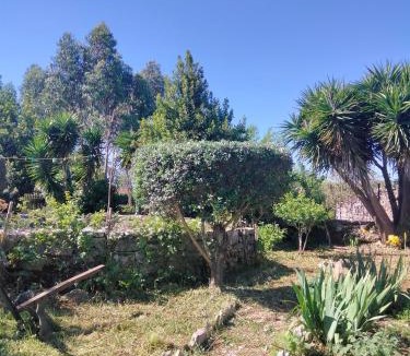 Penela House | Casinha de Chanca