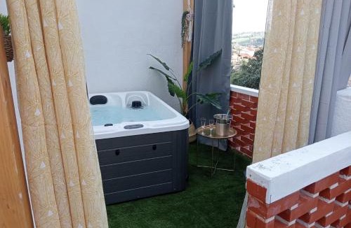 Santa Comba Dao Apartment | Casinhas do Miga