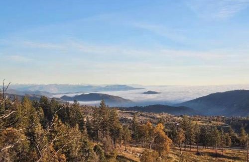 Shaver Lake House | Casita Getaway Family 1BR 1BA AC Stunning Views