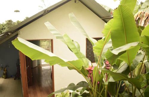 Drake Bay Apartment | Casita Tangara