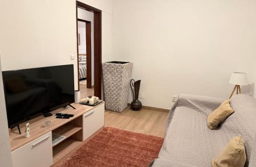Tondela Apartment | Cepas do Salgueiral - Guest House - Apartamento Centro de Tondela