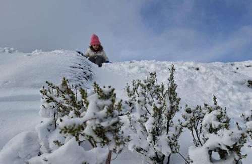 Penhas da Saude Ski Chalet | Chalé Acolhedor - Penhas da Saúde - Serra da Estrela