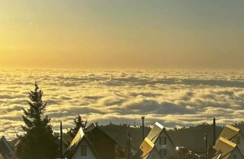 Penhas da Saude Ski Chalet | Chalé Zimbro, Serra da Estrela, Penhas da Saúde