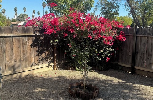 Patterson House | Charming 2-bedroom house with fitness room and AC in delightful Patterson