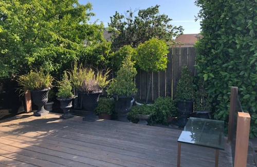 Shoreview House | Charming 3-bedroom house in San Mateo, Shoreview with WiFi, quiet,ideal location