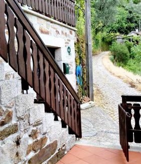 Castro Daire Villa | Charming Villa in Vila Seca with Private Pool