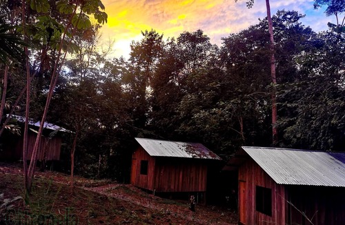 Drake Bay Cabin | Citronela Lodge Corcovado