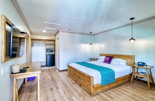 Ramona Cabin | Clean 1 King Bed Room in Ramona Wine Country
