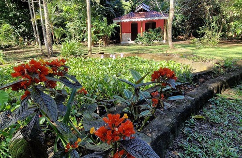 Cahuita Cabin | Close to the beach! Cabina C 1 for up to 5 people. Fully equipped kitchen!
