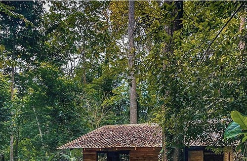 Cocles Villa | Cocoa Jungle Art Villa: 8 minute drive to Cocles Beach. Flat rate no hidden fees