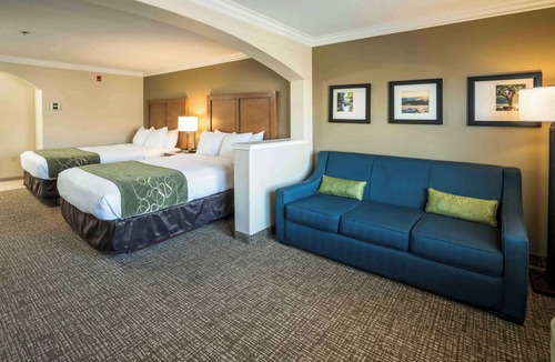 Raisin Hotel | Comfort Suites Fresno River Park