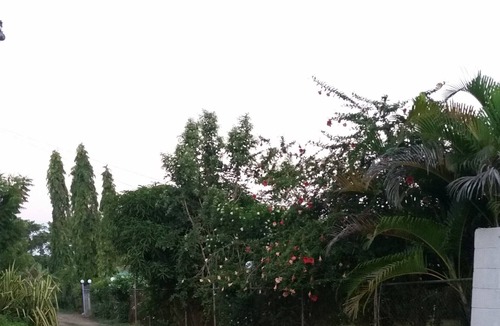 Lautoka Apartment | Comfortable and affordable stay in Fiji