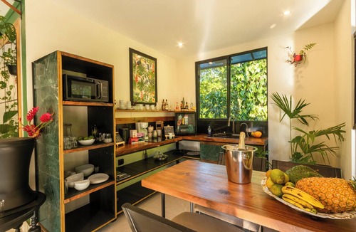Manzanillo House | Con Amor Caribe Private Jungle Villa & Pool