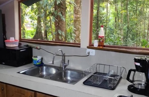 Ballena Hotel | Cool Waters Jungle Villas