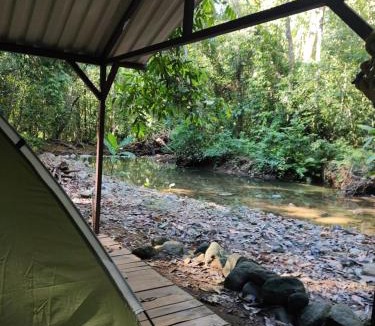 Ballena Hotel | Cool Waters Jungle Villas