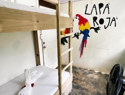 Drake Bay Hostel | Corcovado Foundation Biohostel