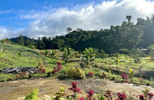 Northern Division Apartment | Cosy Farmstay Jasmeeruls Bayt Tuvurara, Savusavu
