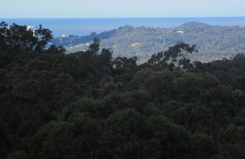 Bonogin Cottage | Cosy hinterland cottage with ocean and forest views
