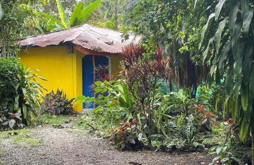Cahuita Apartment | Cozy cabin by the sea