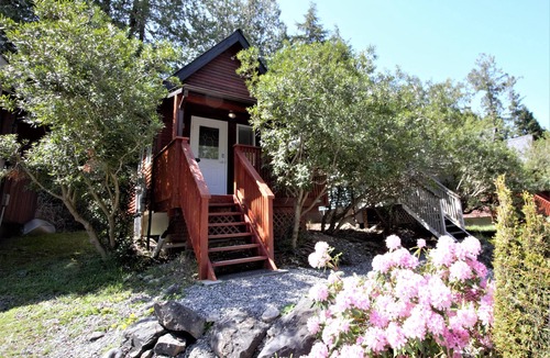 Ucluelet Cabin | Cozy Cabin centrally located close to walking trails and beaches!