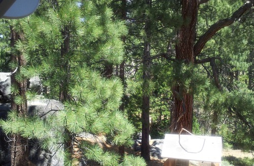South Lake Tahoe Ski Chalet | Cozy Chalet 5 min from downtown, casinos and ski lift