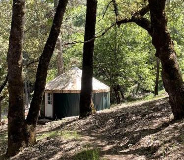North San Juan Other | Cozy Yurt on a Hilltop Camping Compground for a Unique Glamping Getaway in North San Juan, California
